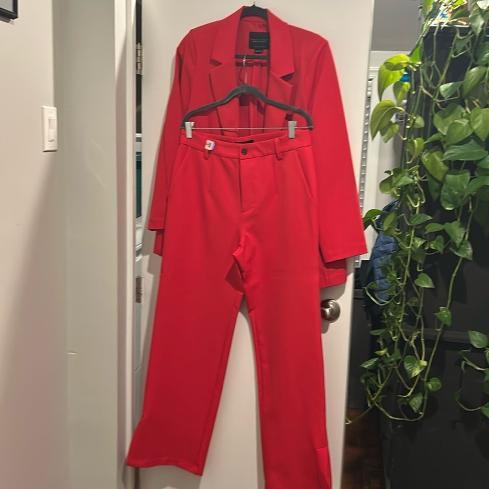 Sanctuary size 30 red suit pants